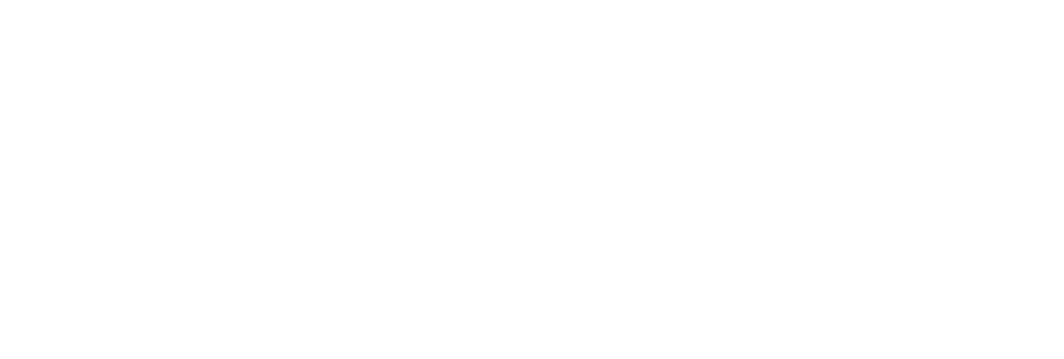 2026 OFFICIAL ATTEMPT