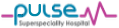 PULSE Logo